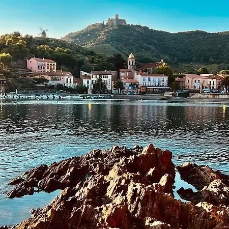 Duplex La Maison Bleue T2 Au Calme Avec Terrasse Lägenhet Collioure